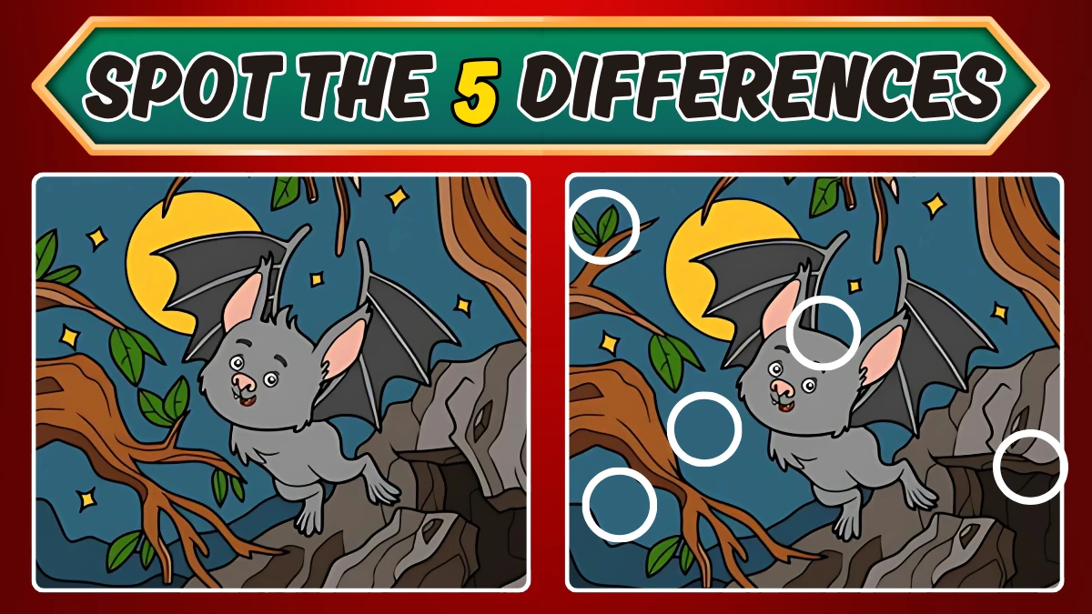 Brain Teaser Spot the Difference Game: Only People with Extra Sharp Eyes Can Spot the 5 Differences in this Bat Image in 12 Secs