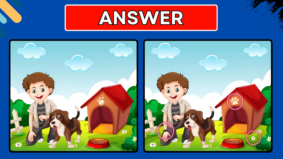 Spot the Difference Game: Only Sharp Minds Can Spot the 3 Differences in this Boy and his Dog Image in 10 Secs
