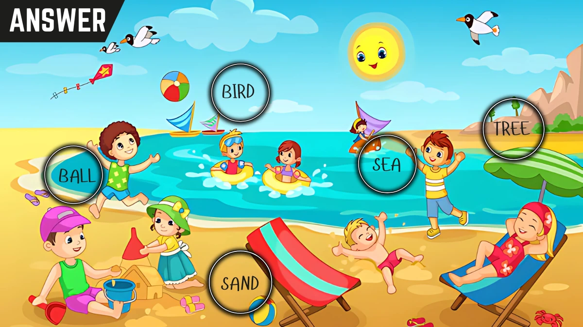 Puzzle IQ Test: Only those with a high IQ People Can Spot The 5 Hidden Words in this Beach Image in 8 Secs