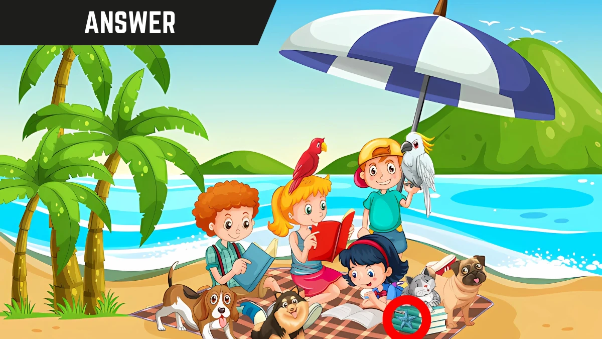 Optical Illusion Eye test: Only Razor Sharp Eyes Can Spot the Hidden Starfish in this Beach image in 12 Secs