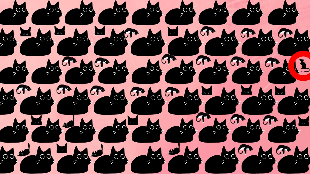 Observation Find it Out: Test Your Observation Skills to Find the Hidden Rat in 15 Secs