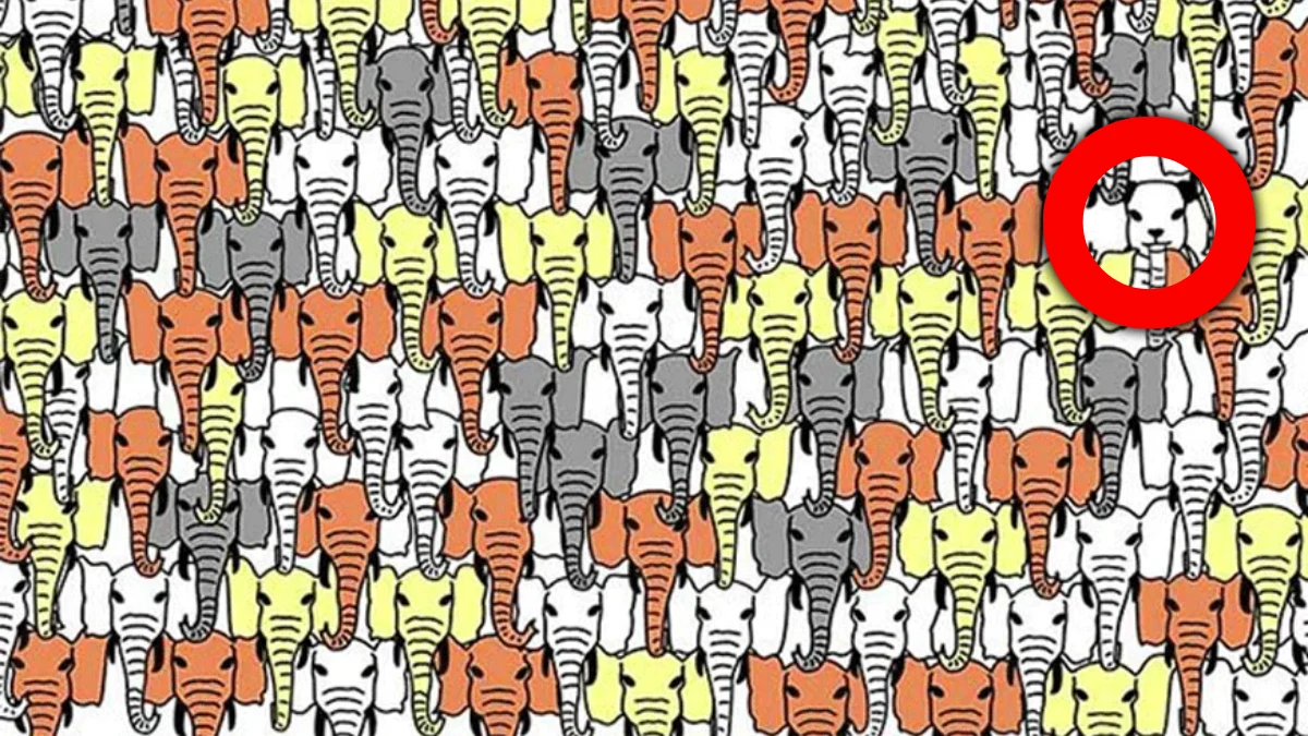 Optical Illusion: Only a Person with eagle eyes can spot the Panda among the Elephants in 7 Secs