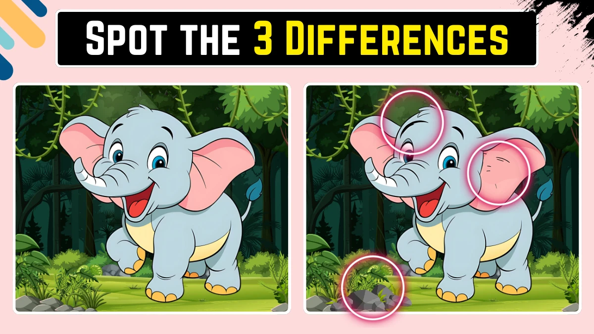 Optical Illusion 15 Seconds Challenge: Only Extra Sharp Eyes Can spot the 3 Differences in this Elephant Image