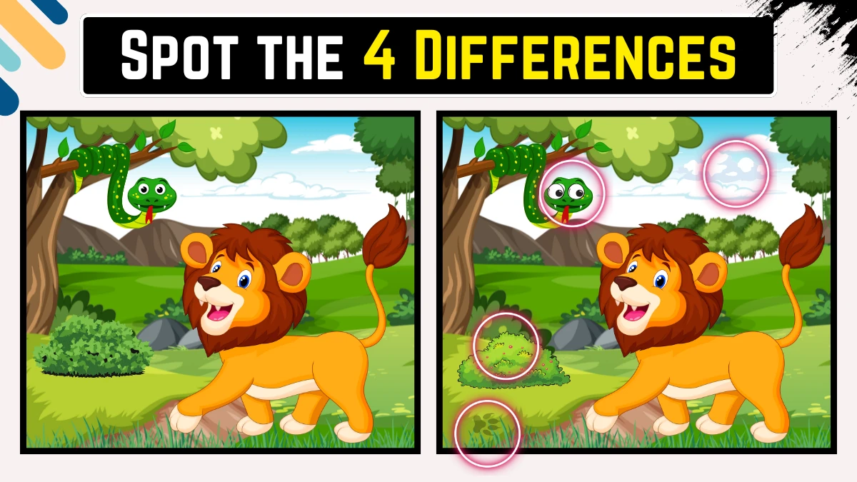 Optical Illusion 15 Seconds Challenge: Only Eagle Eyes Can spot the 4 Differences in this Lion Image