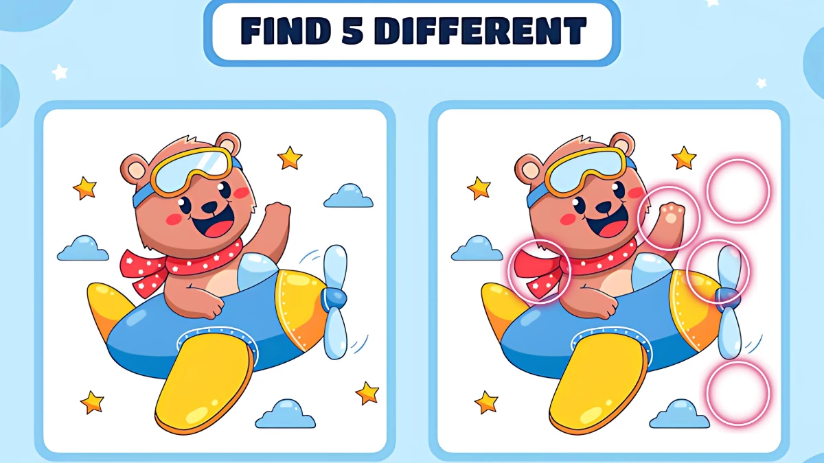 Optical Illusion 15 Seconds Challenge: Only Extra Sharp Eyes Can spot the 5 Differences in this Bear Image