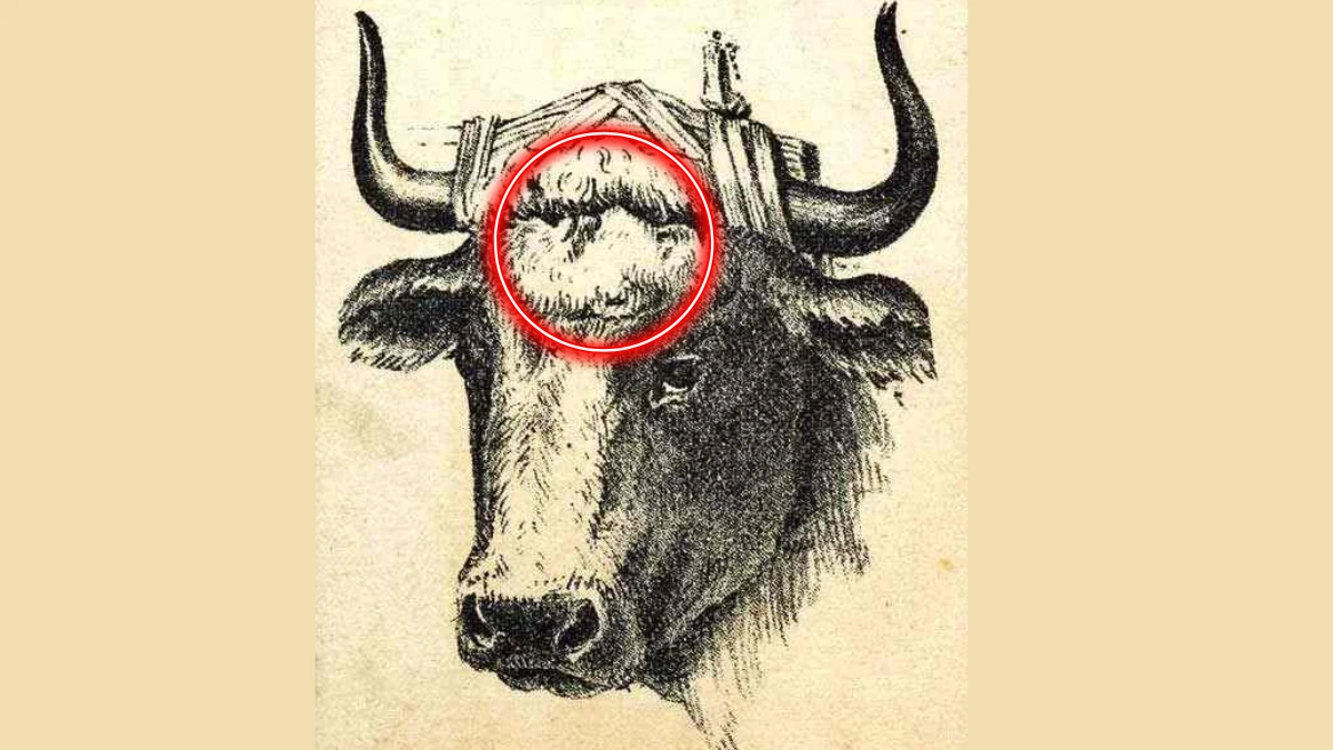 Optical Illusion: Can You Find The Herdsman In This Image Within 10 Seconds?