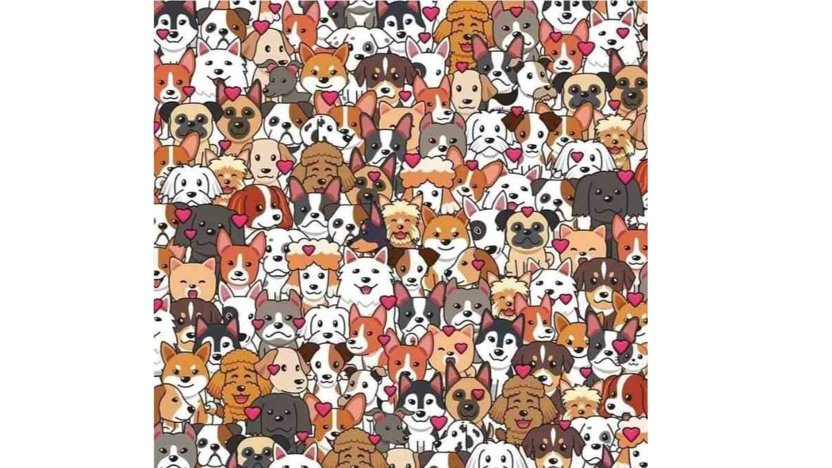 Optical Illusion Eye Test: Can You Spot the Cat Among the Dogs in 9 Seconds?