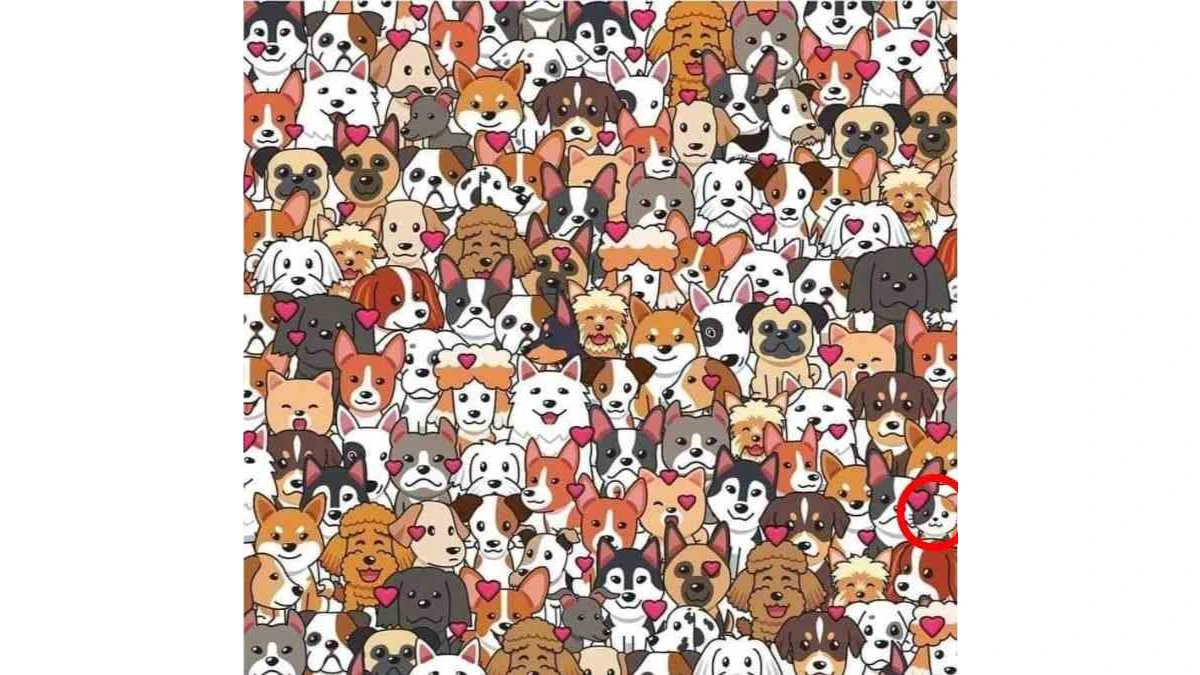 Optical Illusion Eye Test: Can You Spot the Cat Among the Dogs in 9 Seconds?