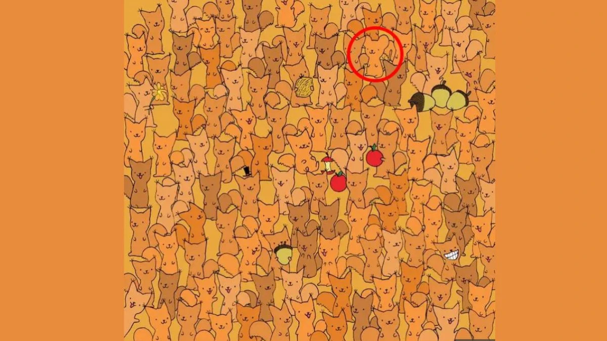 Optical Illusion Eye Test: Only a person with Eagle Eyes can spot the mouse hiding among the squirrels in 7 Secs