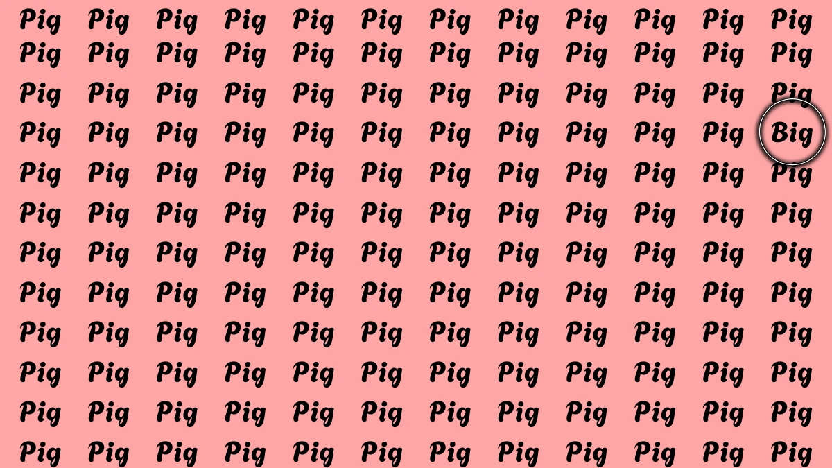 Optical Illusion Eye Test: Within 7 Seconds Spot The Word Big among Pig
