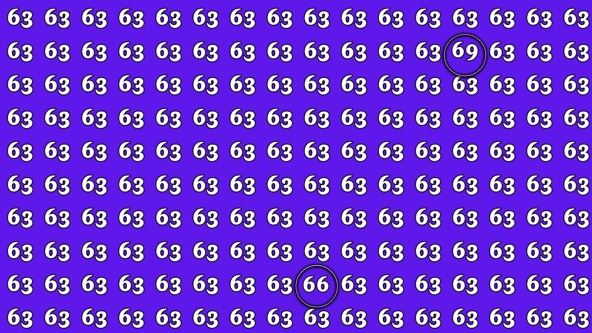 Optical Illusion: Within 6 Seconds Spot The Number 66 and 69 among 63
