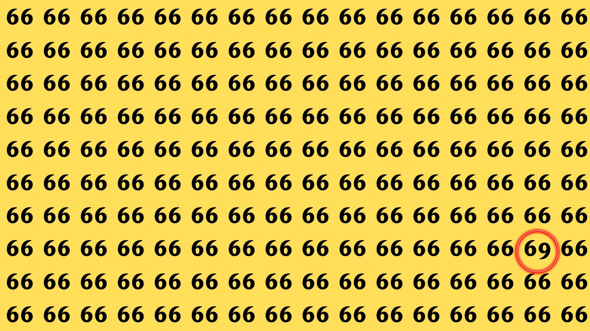 Optical Illusion: Within 6 Seconds Spot The Number 69 among 66