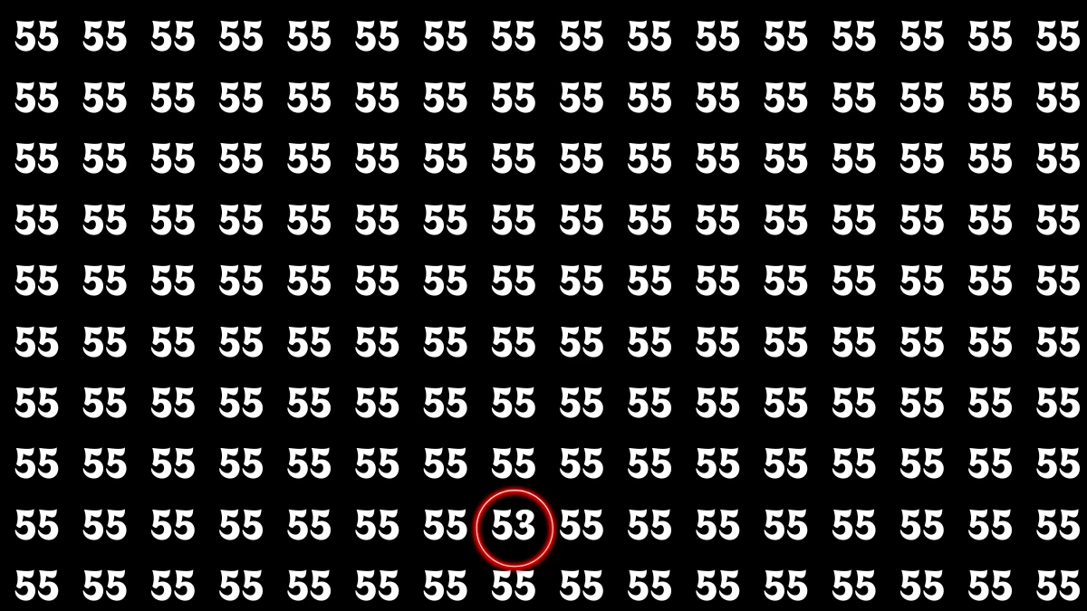 Optical Illusion: Within 7 Seconds Spot The Number 53 among 58