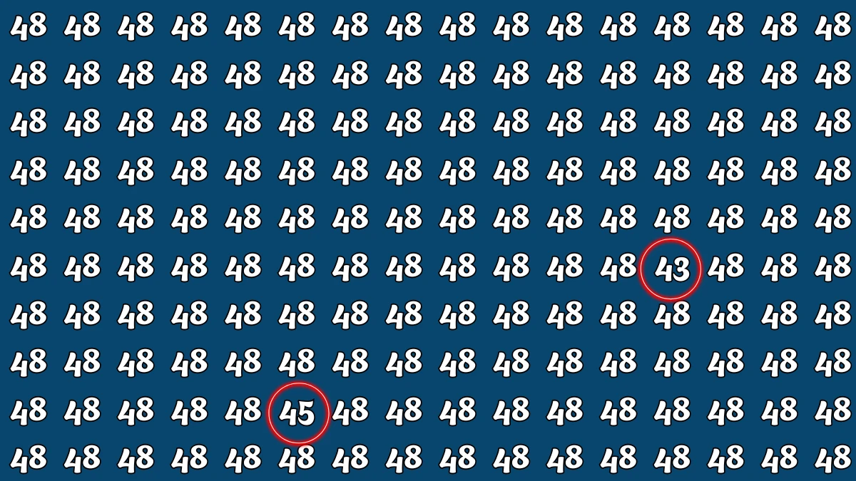 Optical Illusion: Within 8 Seconds Spot The Number 43 and 45 among 48
