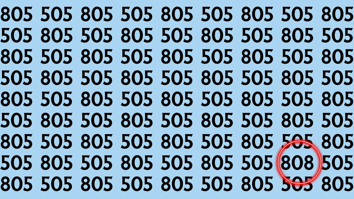 Optical Illusion: Within 8 Seconds Spot The Number 808 among 505 and 805