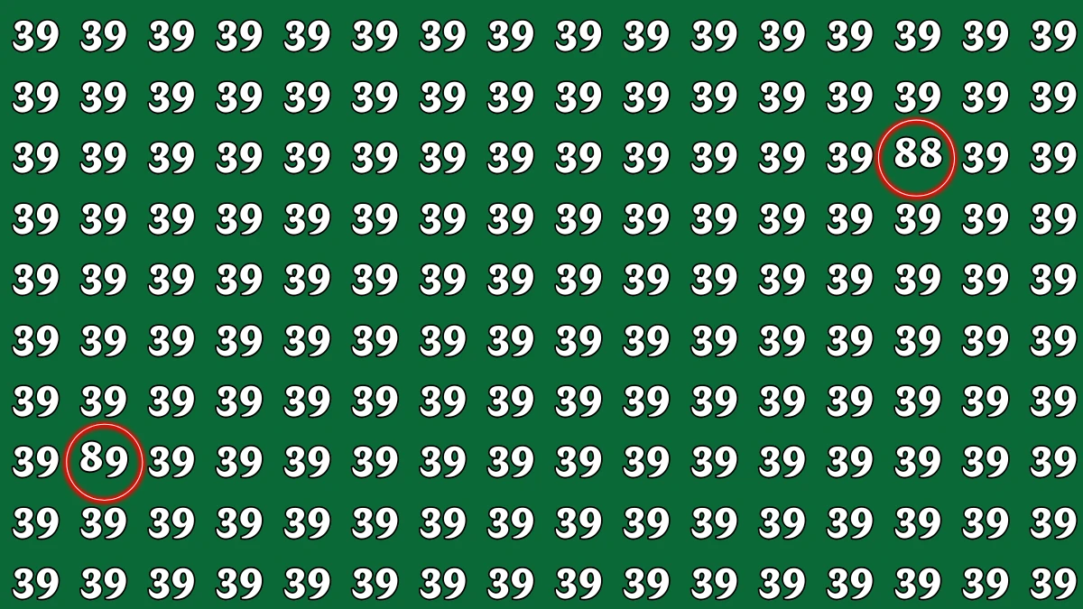 Optical Illusion: Within 8 Seconds Spot The Number 88 and 89 among 39