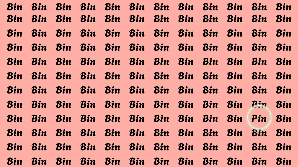 Optical Illusion Eye Test: Within 5 Seconds Spot The Word Pin among Bin