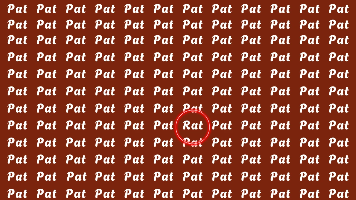 Optical Illusion Eye Test: Within 6 Seconds Spot The Word Rat among Pat