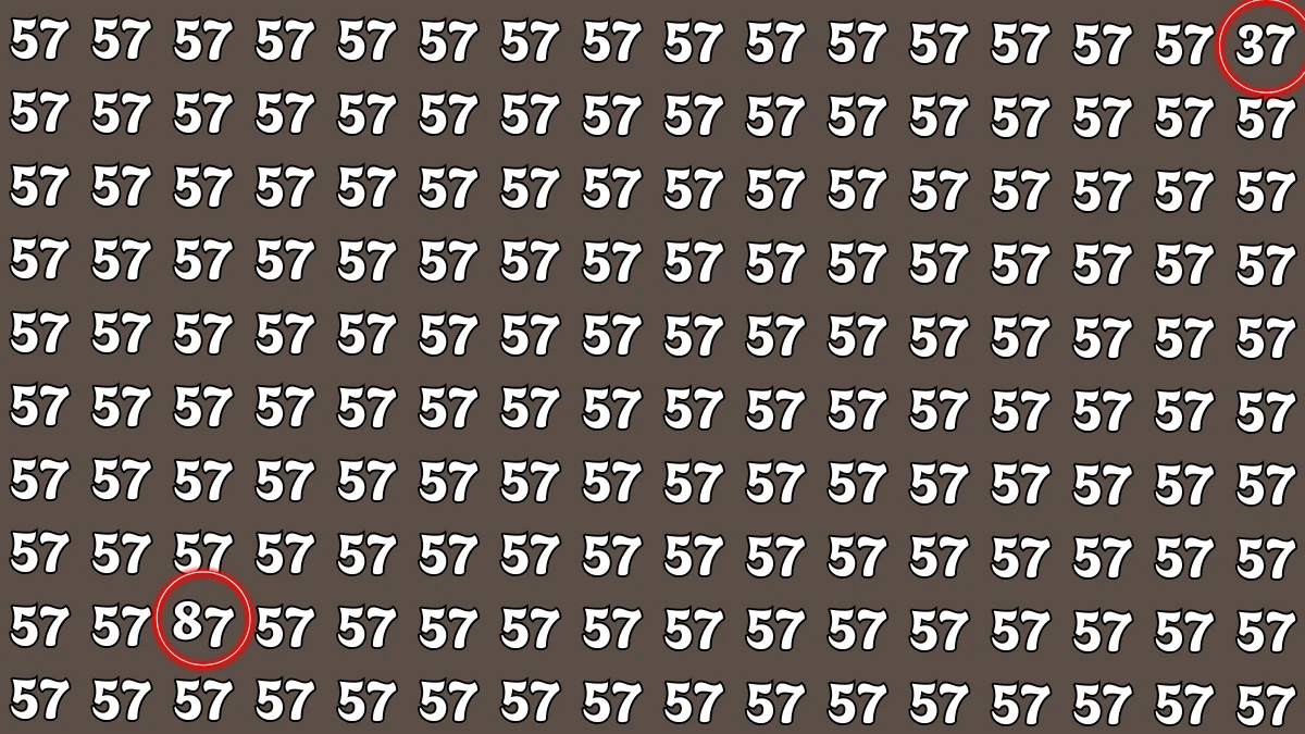 Optical Illusion Eye Test: Within 7 Seconds Spot The Number 37 and 87 among 57