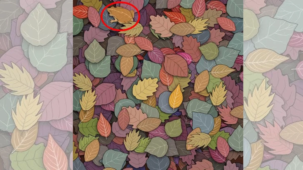 Optical Illusion Visual Test: If You Have Eagle Eyes find the Hidden frog in 7 Secs