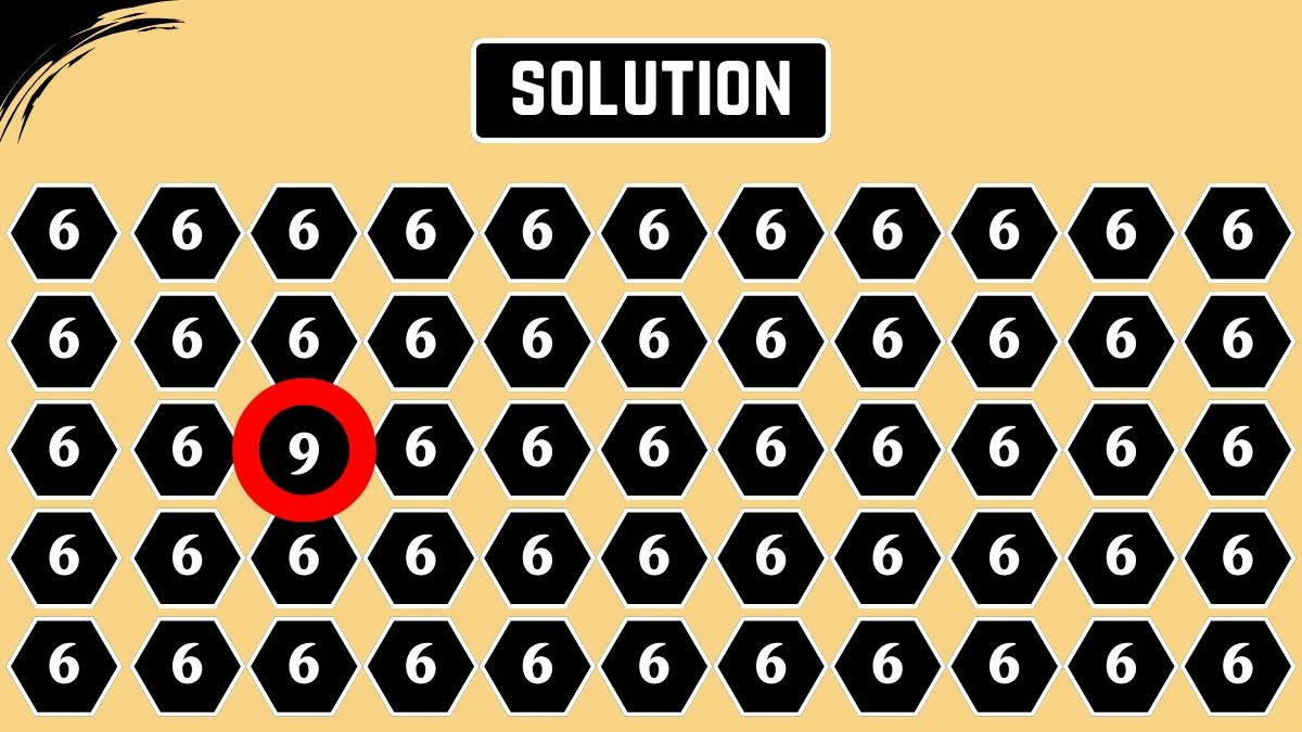 Optical Illusion: Within 5 Seconds Spot The Number 9 among 6