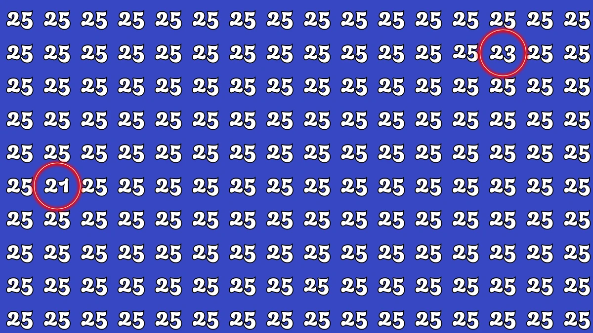 Optical Illusion: Within 6 Seconds Spot The Number 21 and 23 among 25