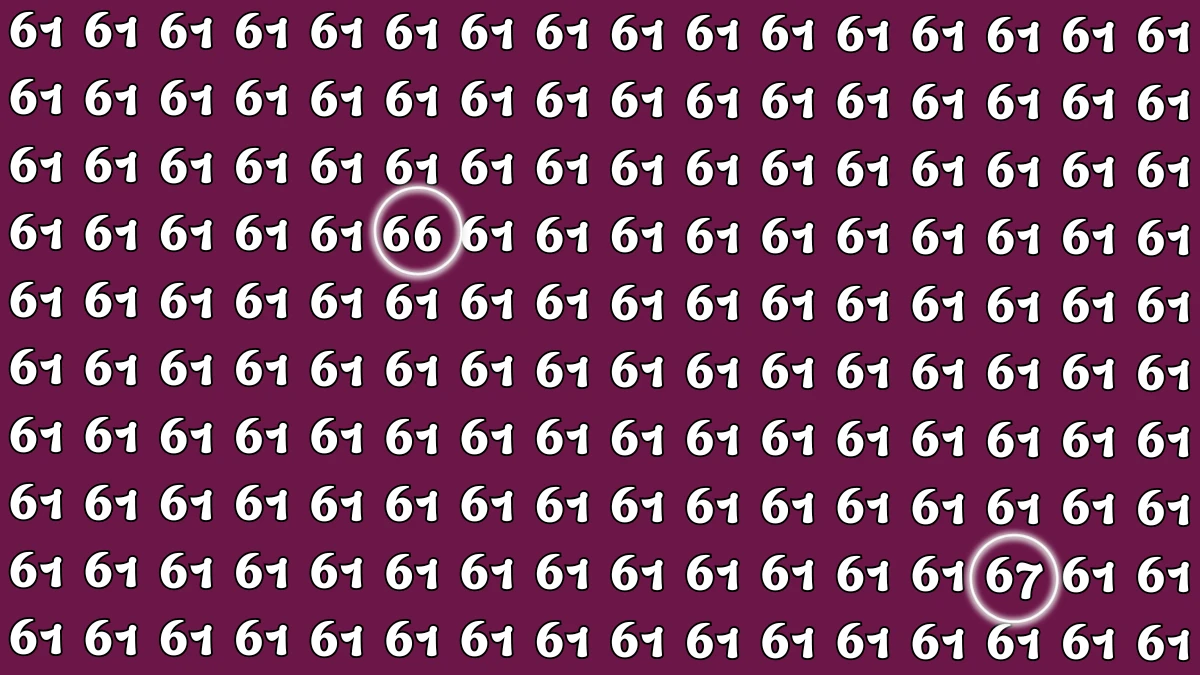 Optical Illusion: Within 6 Seconds Spot The Number 66 and 67 among 61