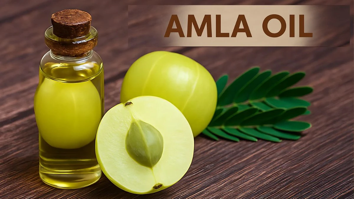 Say Goodbye to Hair Fall! Top 10 Best Hair Oils for Growth and Thickness