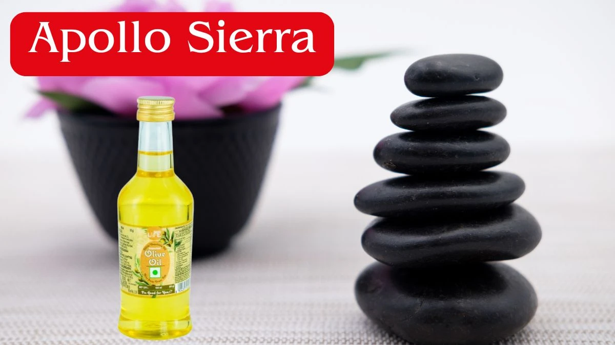 Top 10 Olive Oil Brands in the World