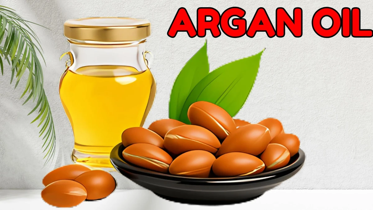 Say Goodbye to Hair Fall! Top 10 Best Hair Oils for Growth and Thickness