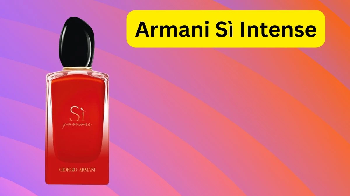 Top 10 Best Long-Lasting Perfumes for Women That Define Elegance
