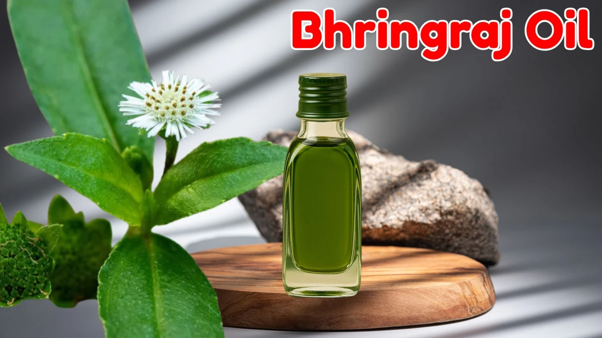 Say Goodbye to Hair Fall! Top 10 Best Hair Oils for Growth and Thickness