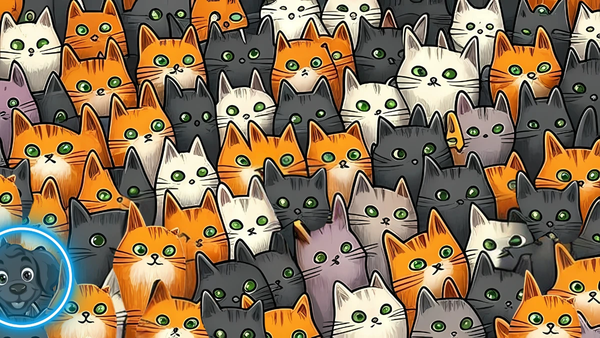 Brain Teaser 5 Secs Challenge: Can you find the Hidden Dog among Cats