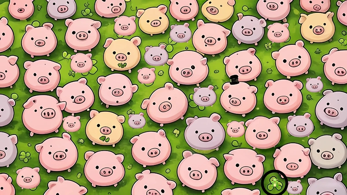 Brain Teaser 5 Secs Challenge: Can you find the Hidden Frog among Pigs