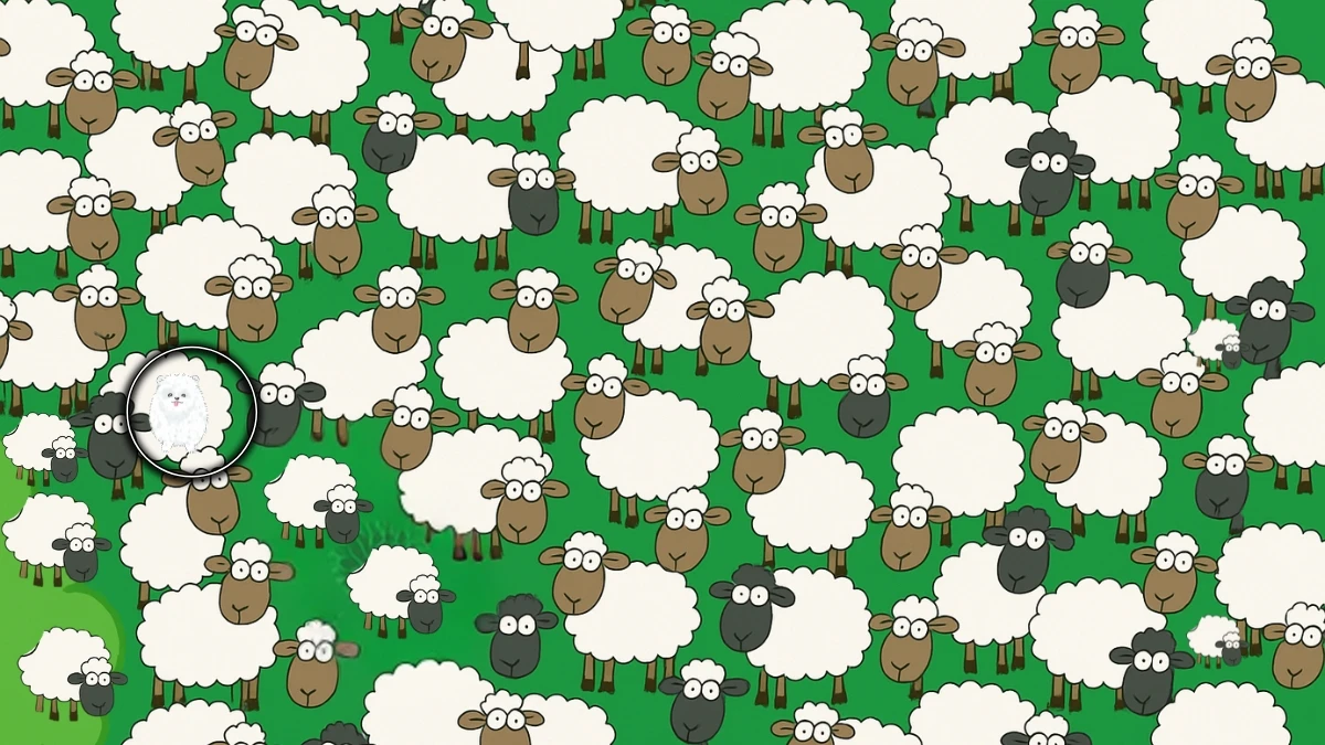 Brain Teaser 6 Secs Challenge: Can you find the Hidden Dog among Sheep