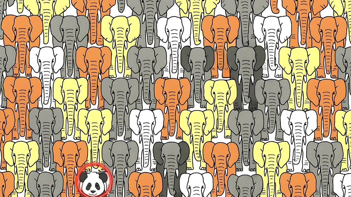 Brain Teaser 6 Secs Challenge: Can you find the Hidden Panda among Elephant in this image
