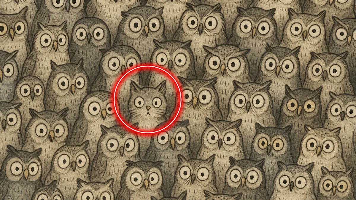 Brain Teaser 8 Secs Challenge: Can you find the Hidden Cat among Owls in this image