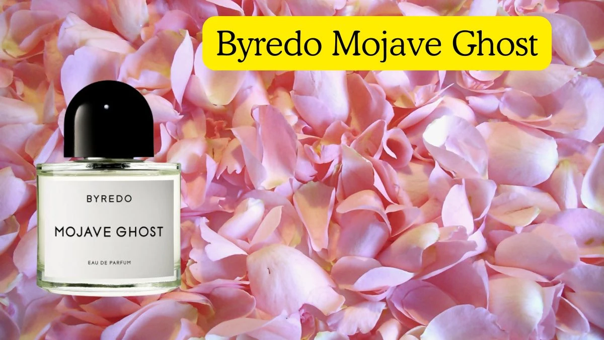 Top 10 Perfume Brands for Men Top Shelf Cologne