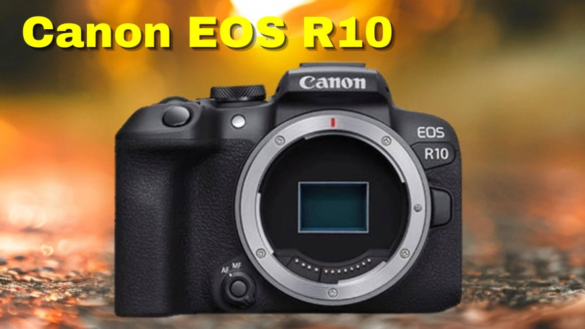 Best Cameras for Photography in 2025: Top 10 Mirrorless Picks for Beginners