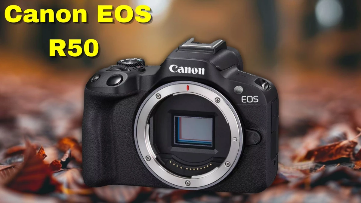 Best Cameras for Photography in 2025: Top 10 Mirrorless Picks for Beginners