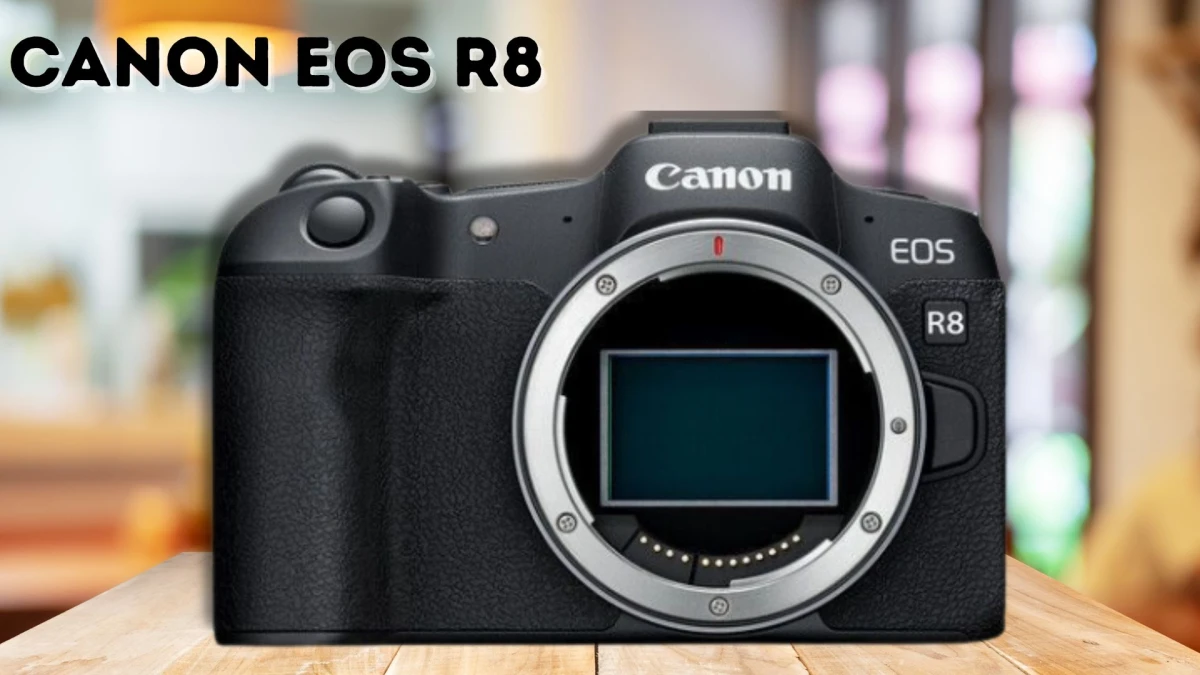 Best Cameras for Photography in 2025: Top 10 Mirrorless Picks for Beginners