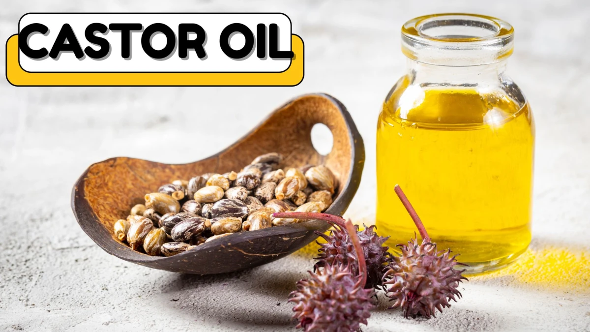 Say Goodbye to Hair Fall! Top 10 Best Hair Oils for Growth and Thickness