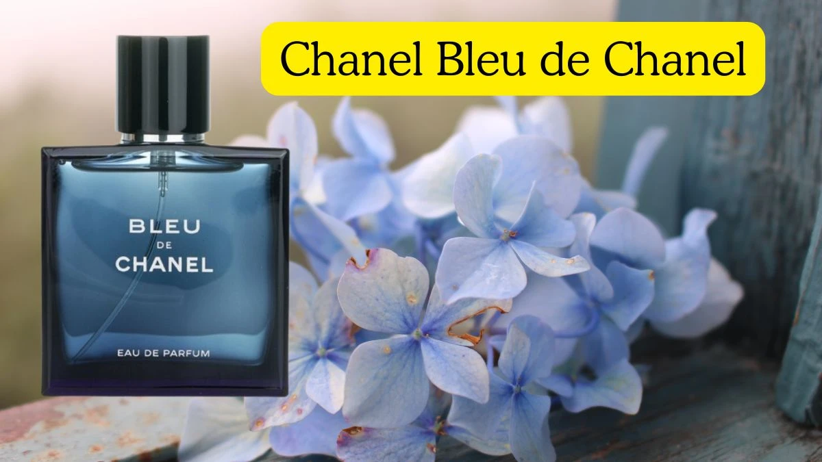 Top 10 Perfume Brands for Men Top Shelf Cologne
