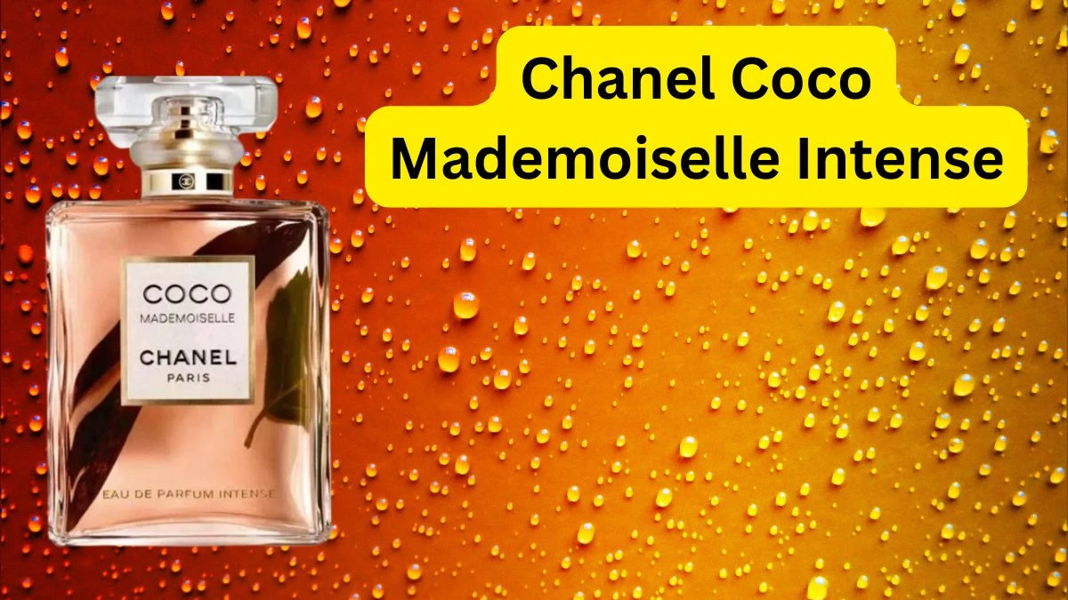 Top 10 Best Long-Lasting Perfumes for Women That Define Elegance