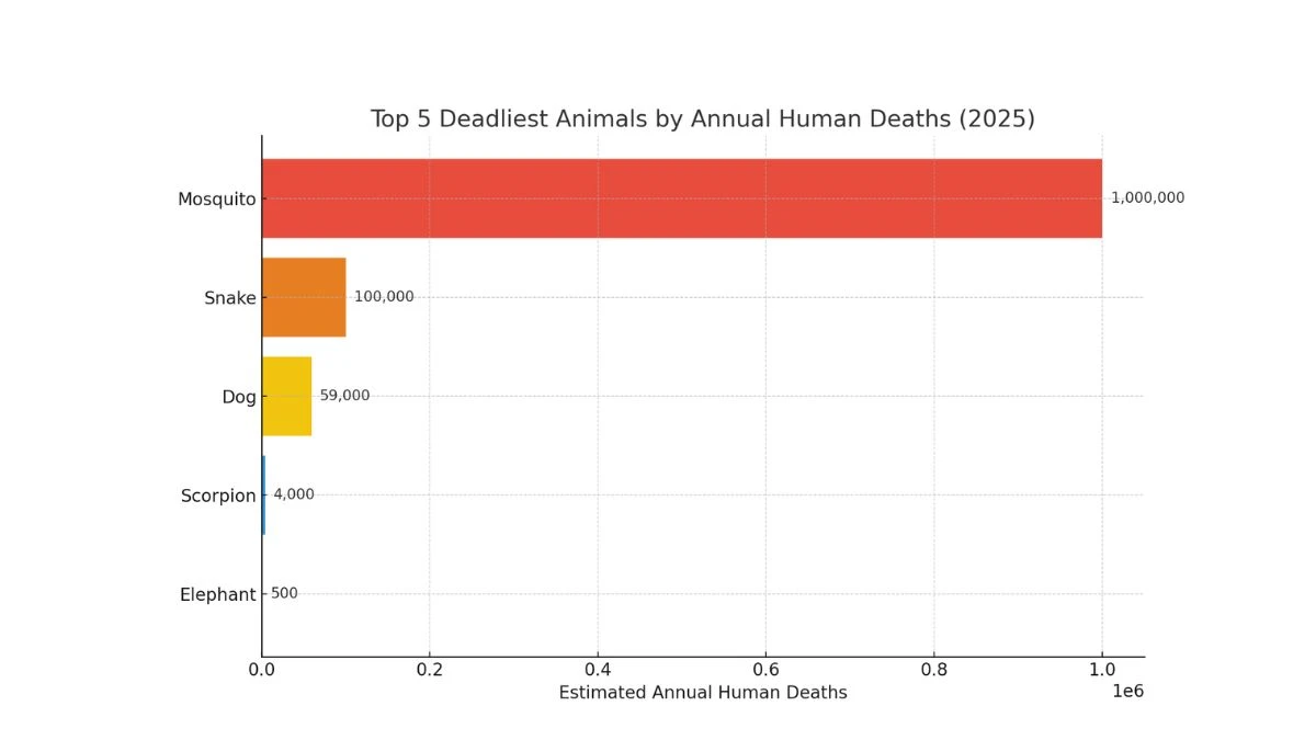 Top 5 Killer Creatures: The Deadliest Animals in the World