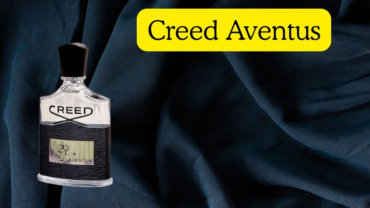 Top 10 Perfume Brands for Men Top Shelf Cologne
