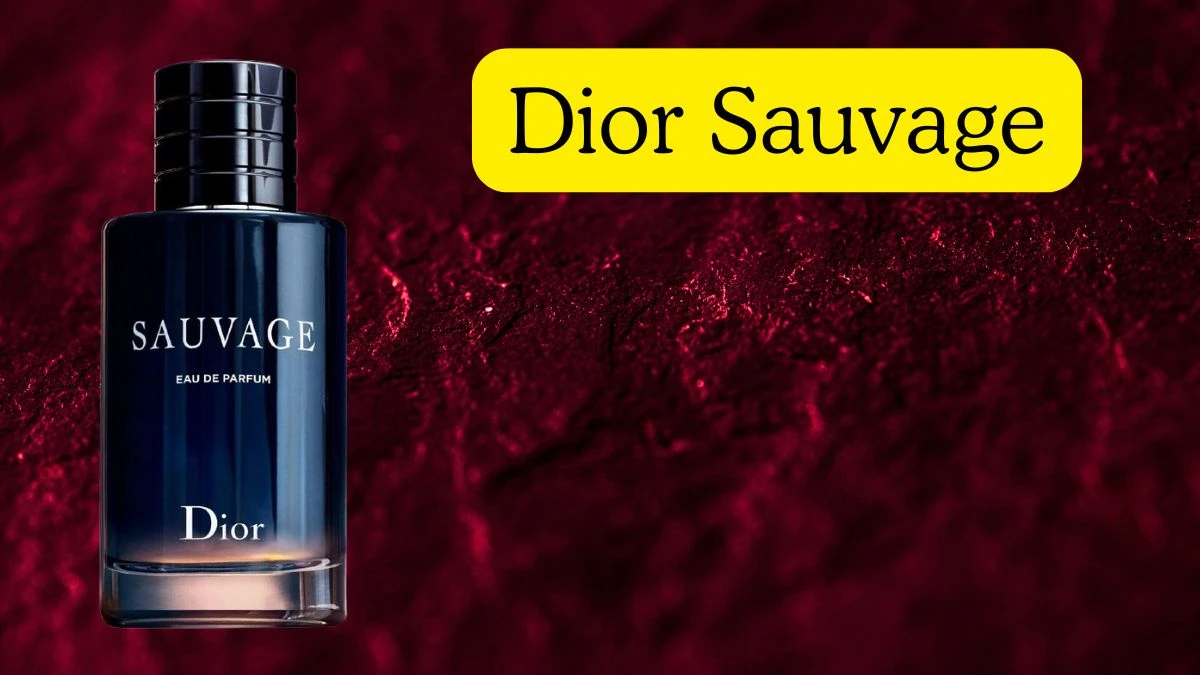 Top 10 Perfume Brands for Men Top Shelf Cologne