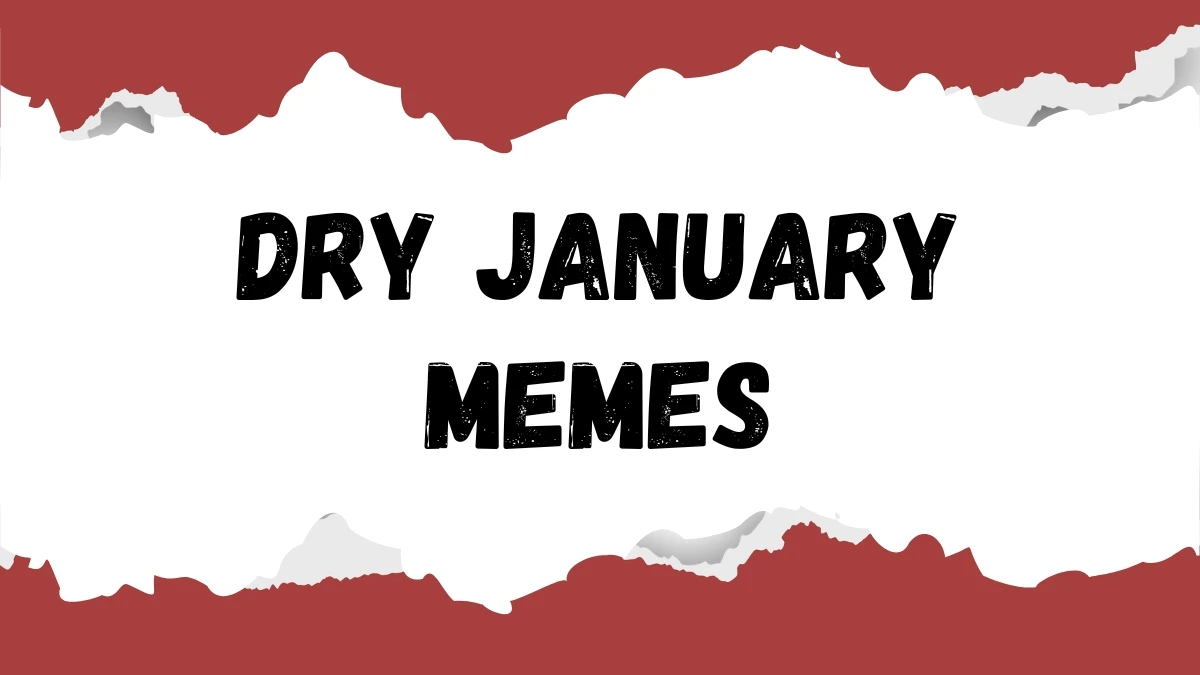 Top 10 Best Funny Memes on the Internet You Can't Stop Laughing
