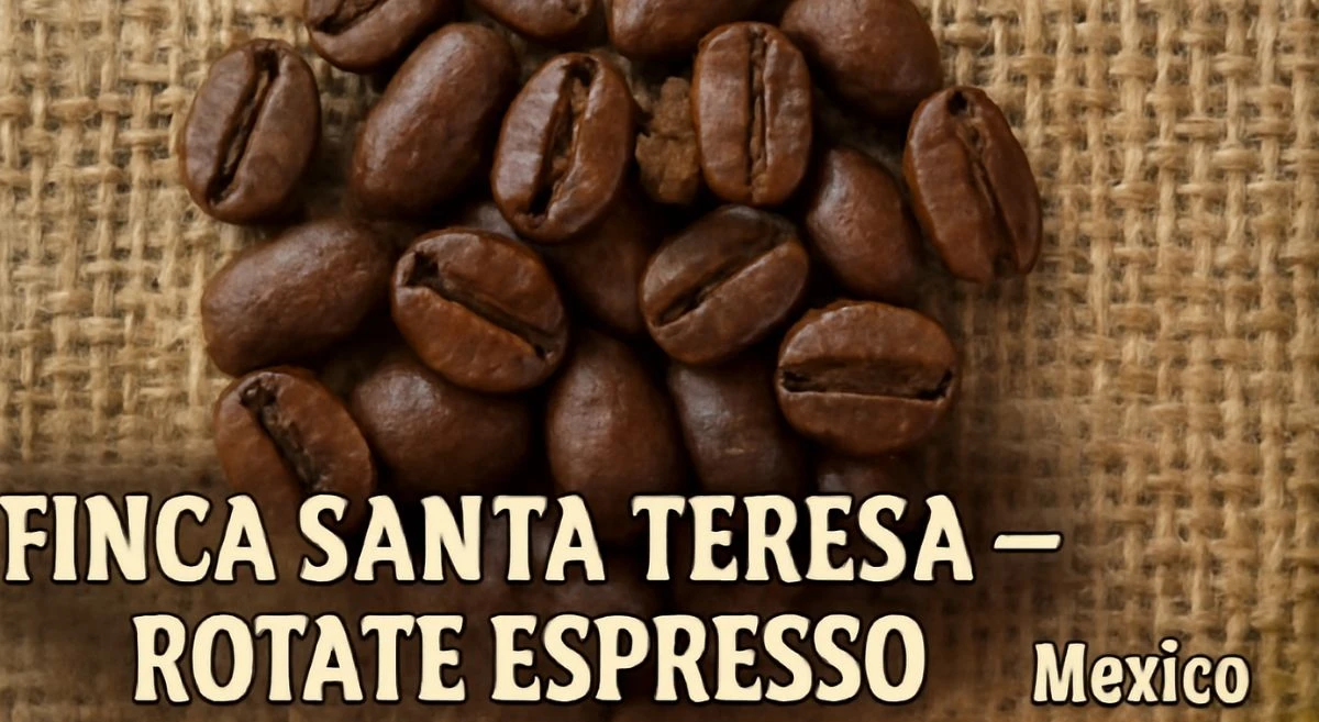 Top 10 Best Coffee in the World