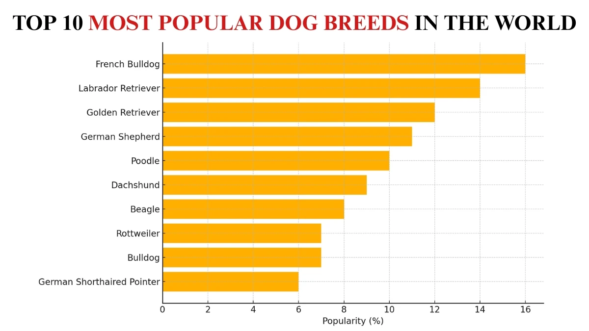 Top 10 Most Popular Dog Breeds in the World
